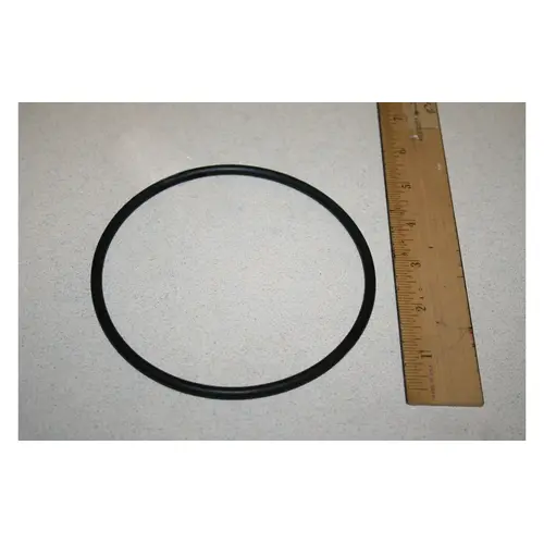 Dynamo Strainer Cover O-ring #2-353