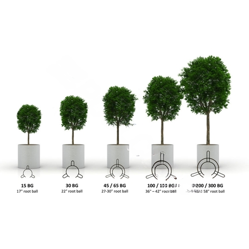 TREE STAKE SOLUTIONS LLC 95/100BG Tree Stake 95-100 Gals Or 36" Root Ball