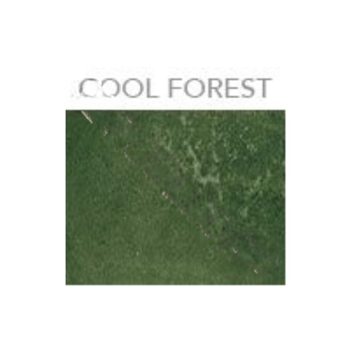 Cool Forest Eco-stain Semi-transparent Water Based Concrete Stain