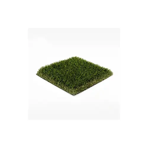 TURF INC ECO 94 GOLD SYN TURF 2" Pile Eco 94 Gold Synthetic Turf Olive 96 Oz