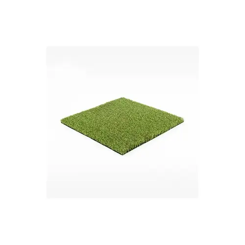 TURF INC DYNAMIC PUTT SYN TURF 1/2" Pile Dynamic Putt Putting Green 63 Oz