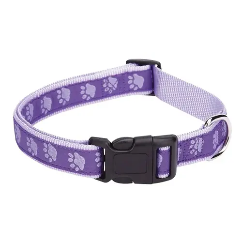 Dog Collar, 6 to 10 in L Collar, 3/8 in W Collar, Nylon, Purple