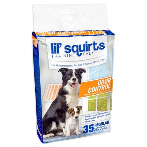 Lil' Squirts Odor Control Training Pad, 21 in L, 22 in W