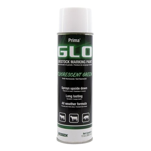 Ideal 338693 Prima Spray-On Glo Spray Paint, Fluorescent Green, 13 oz Can