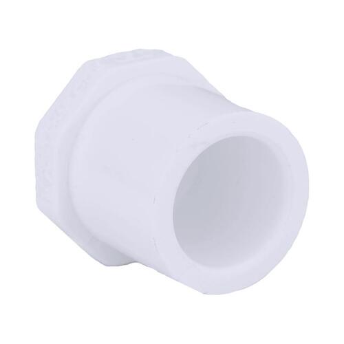 Plug Schedule 40 1/2" Spigot T X 1/2" D Slip PVC - pack of 50