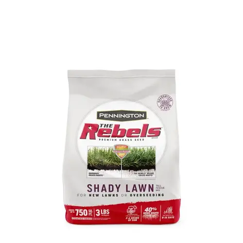 SEED TALL FESCUE SHADE MIX 3LB Dark Green