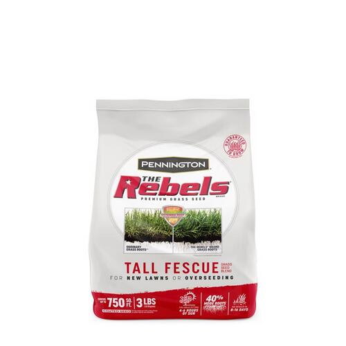 SEED REBEL TALL FESCUE MIX 3LB Dark Green