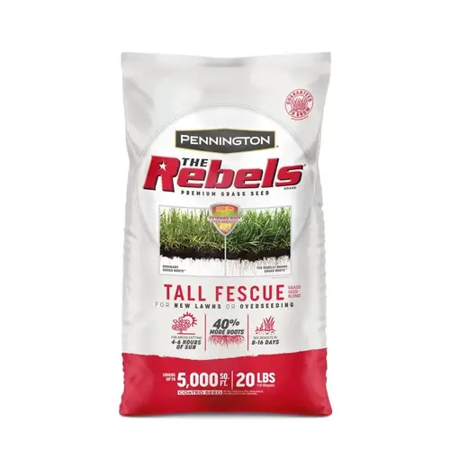 SEED REBEL TALL FESCUE MX 20LB Dark Green