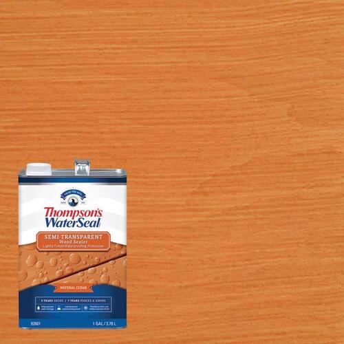 Thompson's Waterseal TH.092601-16 TH.042851-16 Waterproofing Stain, Woodland Cedar, 1 gal, Can