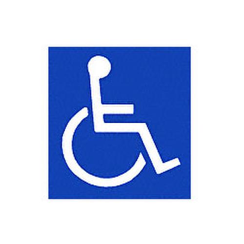 CRL 150B0 Handicap Access Door Decal
