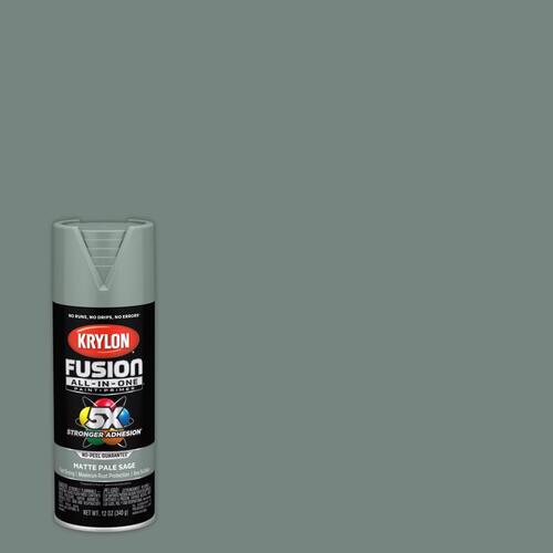 Paint + Primer Spray Paint Fusion All-In-One Matte Pale Sage 12 oz Pale Sage