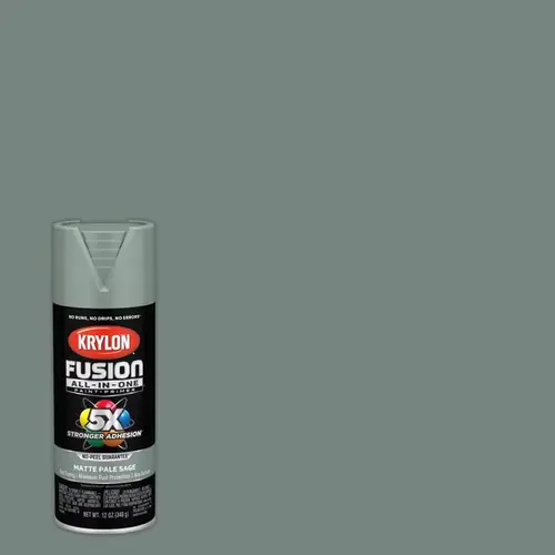 Paint + Primer Spray Paint Fusion All-In-One Matte Pale Sage 12 oz Pale Sage - pack of 6