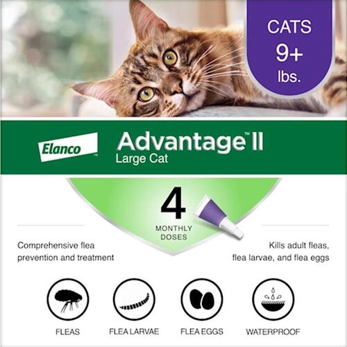 BAYER 81520224-APC Flea Drops Advantage II Liquid Cat Imidacloprid/Pyriproxyfen 0.108 oz