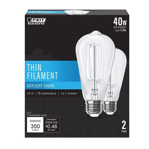 Filament LED Bulb ST19 E26 (Medium) Daylight 40 Watt Equivalence Clear