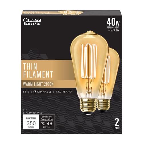 Filament LED Bulb LED Filament ST19 E26 (Medium) Warm White 40 Watt Equivalence Clear Pair