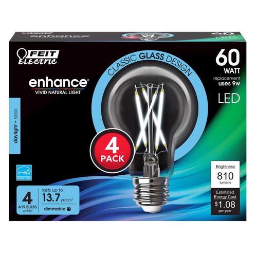 Filament LED Bulb Enhance A19 E26 (Medium) Daylight 60 Watt Equivalence Clear