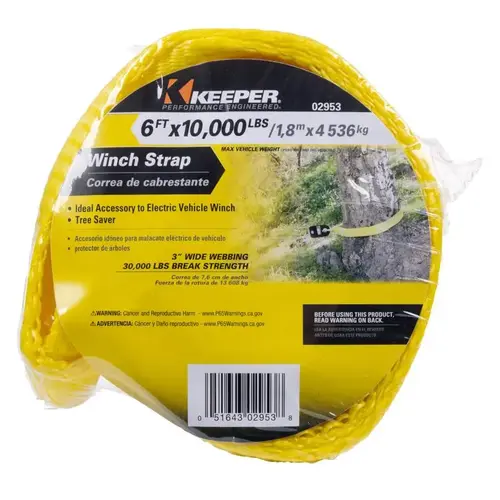 Winch Strap 6 ft. 30000 lb Electric Yellow