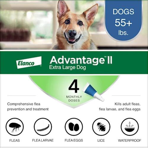 BAYER 81520305-ABD Flea Drops Advantage II Liquid Dog 0.54 oz