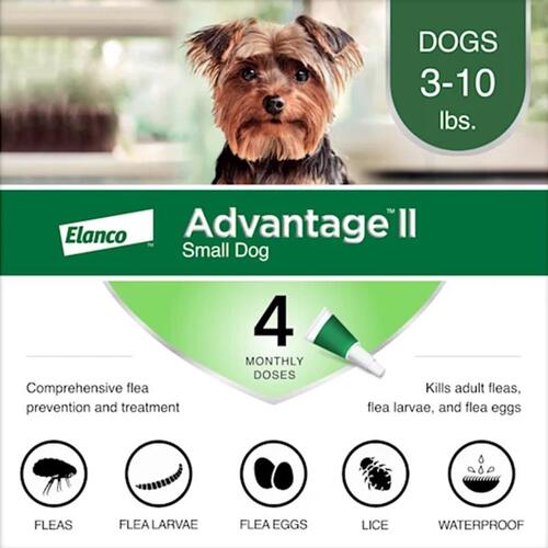 BAYER 81520240-AGD Flea Drops Advantage II Liquid Dog Imidacloprid/Pyriproxyfen 0.056 oz