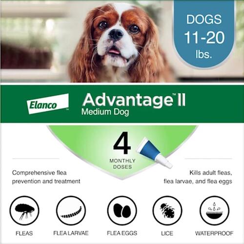 BAYER 81520267-ATD Flea Drops Advantage II Liquid Dog Imidacloprid/Pyriproxyfen 0.14 oz