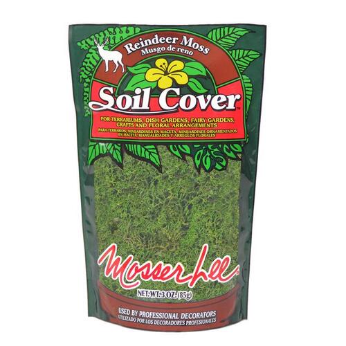 Mosser Lee ML3010 Reindeer Moss Soil Cover Dark Green 3 oz Dark Green