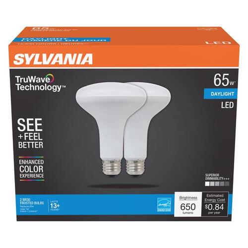 Sylvania 3005235 LED Floodlight Bulb Natural BR30 E26 (Medium) Daylight 65 W Frosted