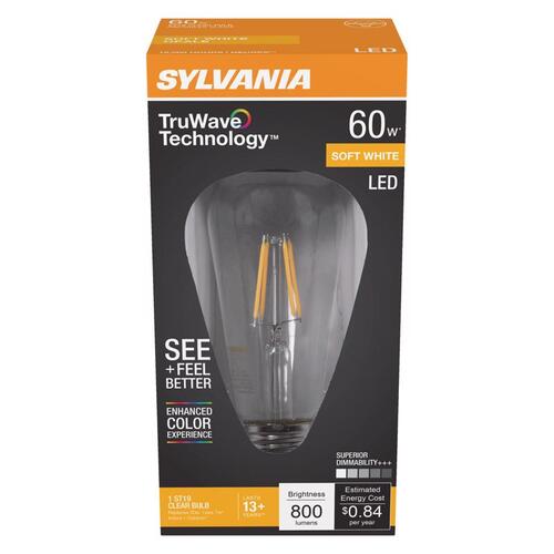 Natural LED Bulb, Decorative, ST19 Lamp, 60 W Equivalent, E26 Lamp Base, Dimmable, Clear