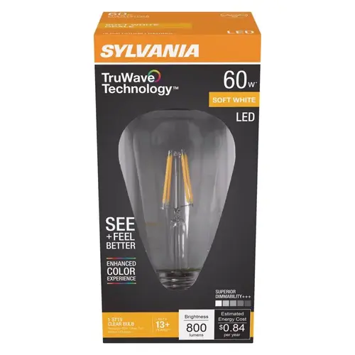 Natural LED Bulb, Decorative, ST19 Lamp, 60 W Equivalent, E26 Lamp Base, Dimmable, Clear