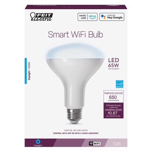 Smart Bulb, 8 W, Wi-Fi Connectivity: 2.4 GHz, Voice Control, Medium E26 Lamp Base Clear