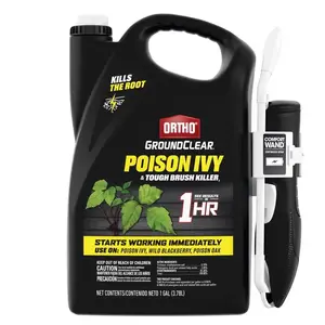 Ortho GroundClear Poison Ivy Killer RTU Liquid 1.33 gal