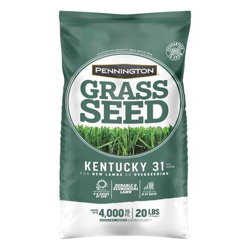 Pennington 100543701 Kentucky Fescue Grass Seed, 20 lb Bag