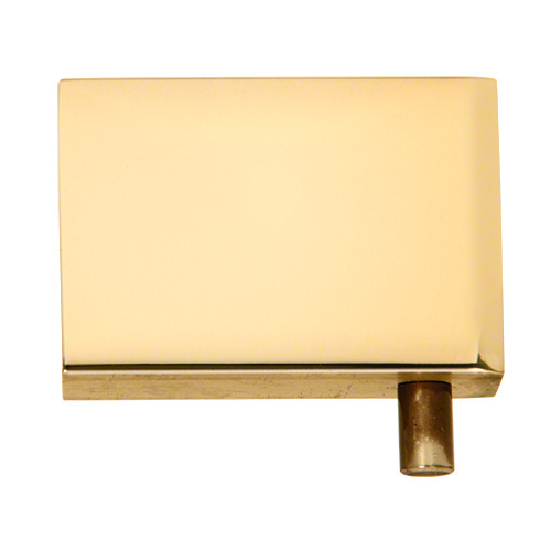 Cabinet/ Showcase Top And Bottom Mount Pivot Hinge Polished Brass