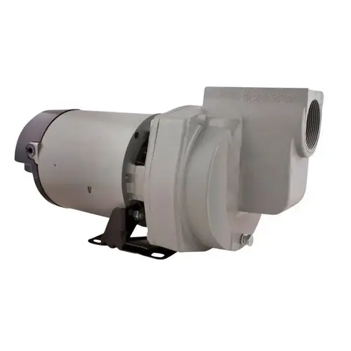 F&W - FLINT & WALLING HSP20P1 Lawn Sprinkler Irrigation Pump, Single Phase, 2-HP