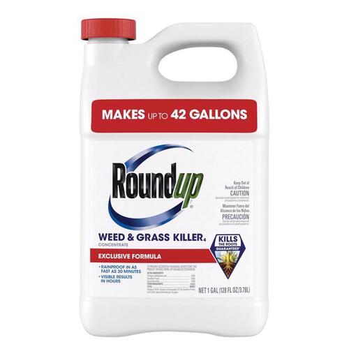 SCOTTS ORTHO ROUNDUP 5376804 Concentrated Weed and Grass Killer, Liquid, 1 gal, Bottle