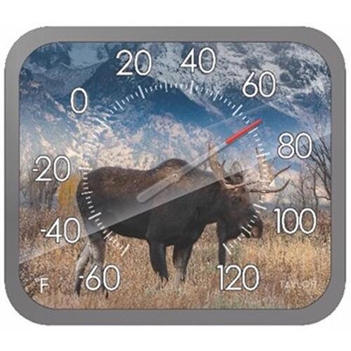 Dial Thermometer Moose Plastic Multicolored 14" Multicolored