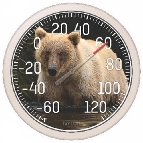 Dial Thermometer Bear Plastic Multicolored 13.25" Multicolored - pack of 4