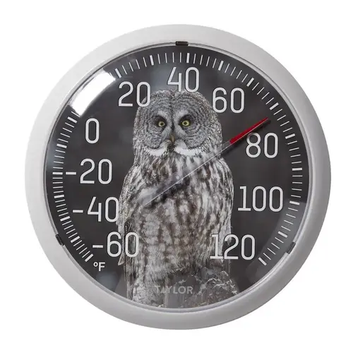 Dial Thermometer Owl Plastic Multicolored 13.25" Multicolored