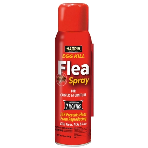 Flea Aerosol Insecticide, Liquid, Spray Application, 14 oz