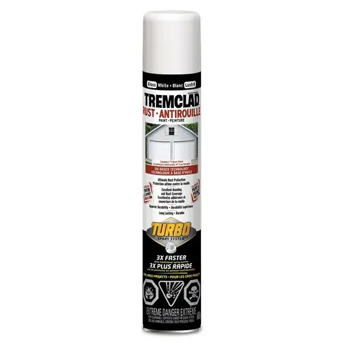 Decorative Paint, Gloss, White, 680 g, Aerosol Can