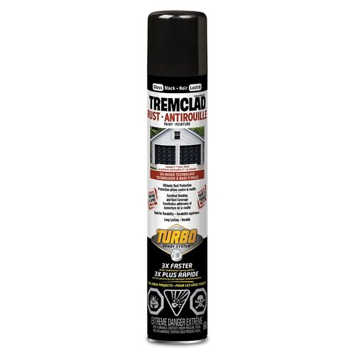 Decorative Paint, Gloss, Black, 680 g, Aerosol Can