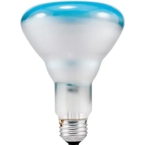 Incandescent Lamp, 65 W, BR30 Lamp, Medium Lamp Base, 600 Lumens, 2850 K Color Temp, 2000 hr Average Life - pack of 6