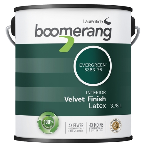 boomerang 5383-76L19 5383 Series Interior Paint, Eggshell Sheen, Evergreen, 1 gal, 430 sq-ft Coverage Area