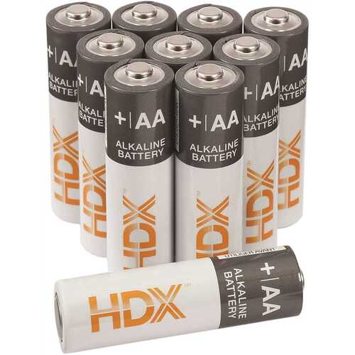 Alkaline AA Battery - pack of 100