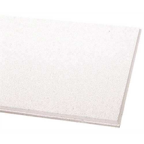Dune 24 in. x 48 in. Lay-in Ceiling Panel