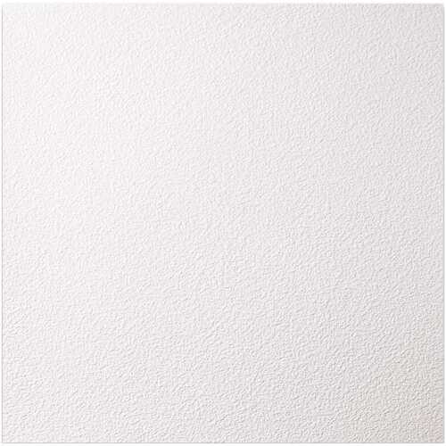23.75in. X 23.75in. Stucco Pro Vinyl Lay In White Ceiling Tile