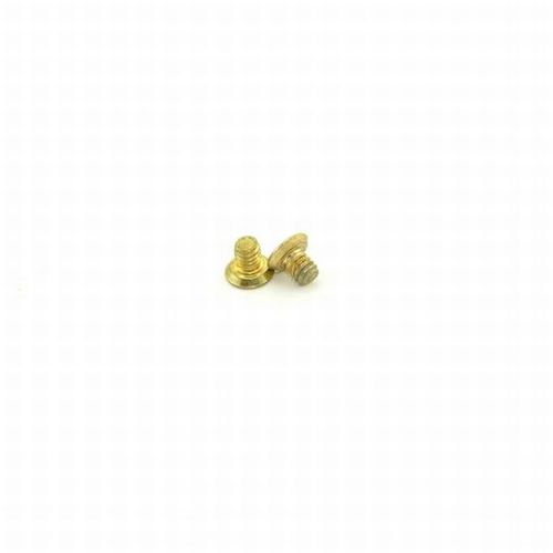 Armor Front Screw Pack Bright Brass Finish