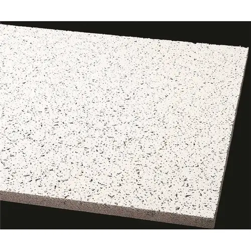 Cortega 2 ft. x 2 ft. Square Lay-In Ceiling Tile (64 sq. ft. / Case) White - pack of 16