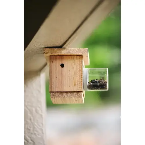 Bees N Things BEES-AST Hanging Carpenter Bee Trap