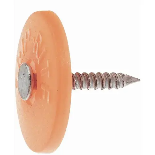 Nail No. 12 1-1/4" Cap Bright Steel Full Round Head 1 lb Bright - pack of 6