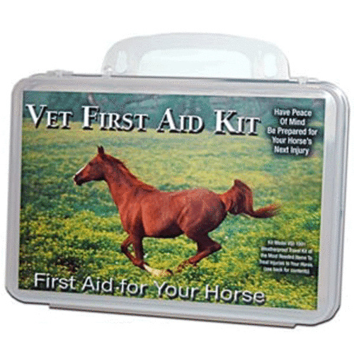 Agri-Pro Enterprises 811001 Agri-Pro Vet Kit for Horses